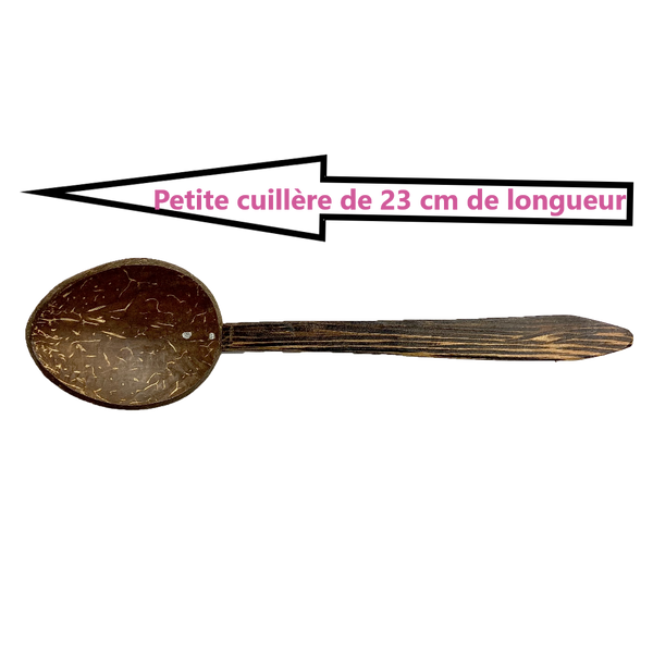 Cuillère en bois et coco